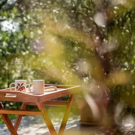 Villa Artemis Stone Vasilikí