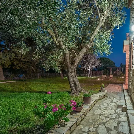 Artemis Stone Vasilikí