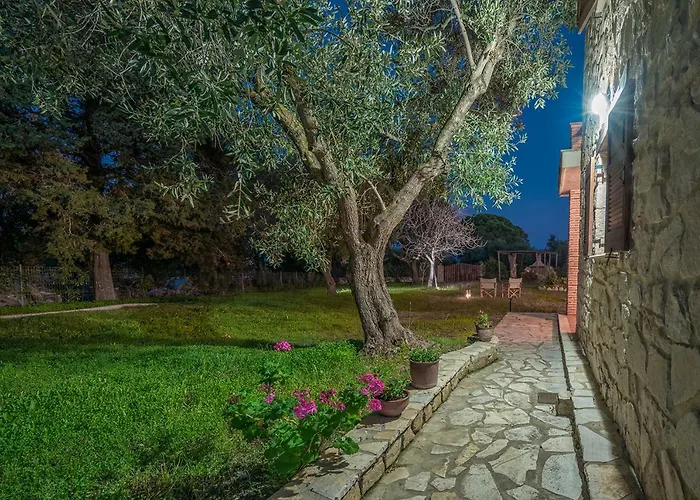 Artemis Stone Vasilikí